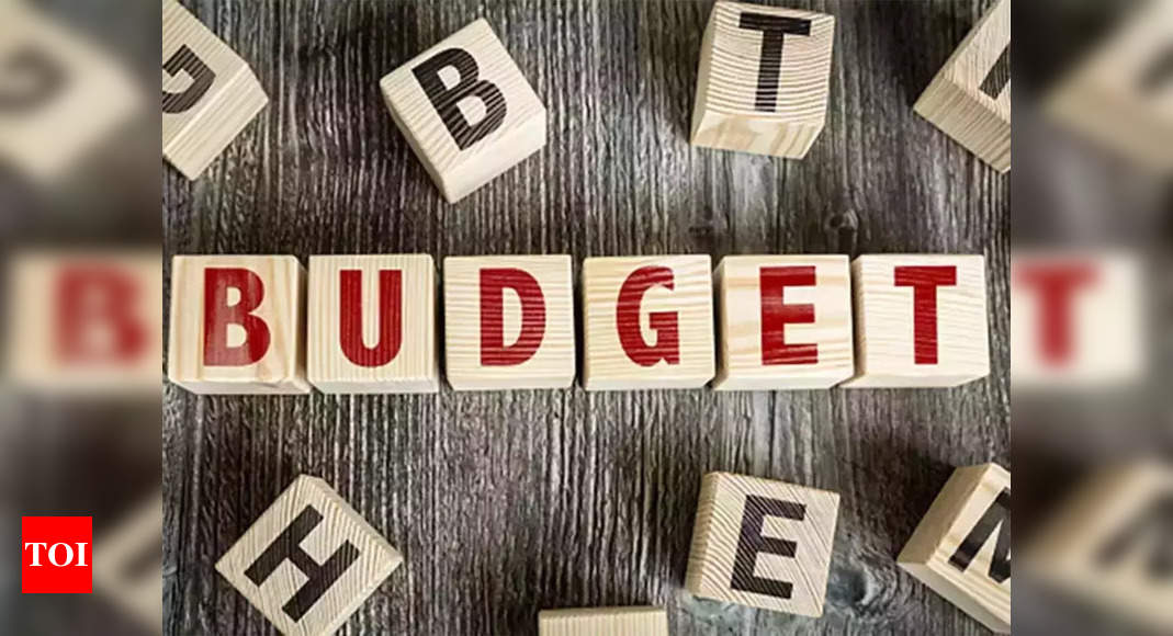 Budget plugs double deduction relating to overseas tax – Times of India