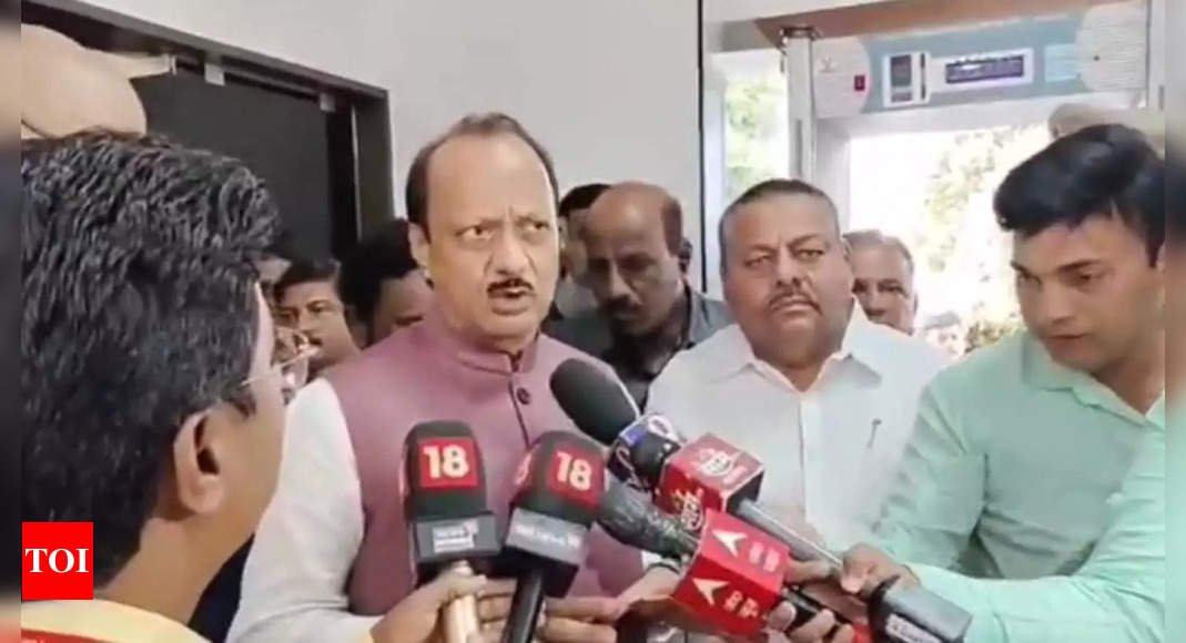 Don’t believe in fake narratives on Constitution: Ajit Pawar to NCP workers | India News – Times of India