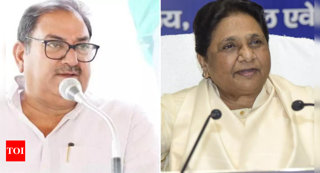 INLD-BSP to jointly contest Haryana polls | India News – Times of India