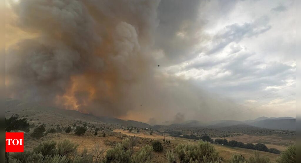 Record-breaking wildfires scorch more than 1.4 million acres in Oregon, authorities say – Times of India