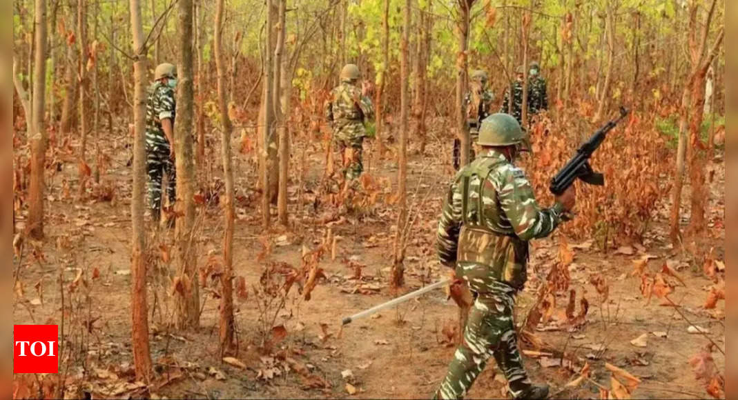 3 Maoists killed in 2 encounters, Chhattisgarh tally 11 in last 3 days | India News - Times of India