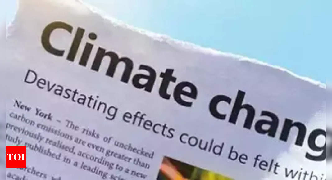 Developed countries surpassed their 0 billion climate finance commitment in 2022: OECD | India News – Times of India