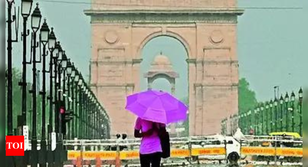 Heatwave to severe heatwave conditions, strong surface winds likely in Delhi | India News - Times of India