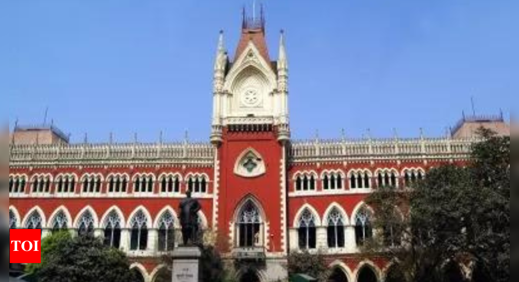 High court stays probe against staff in WB Raj Bhavan 'molestation' case | India News - Times of India