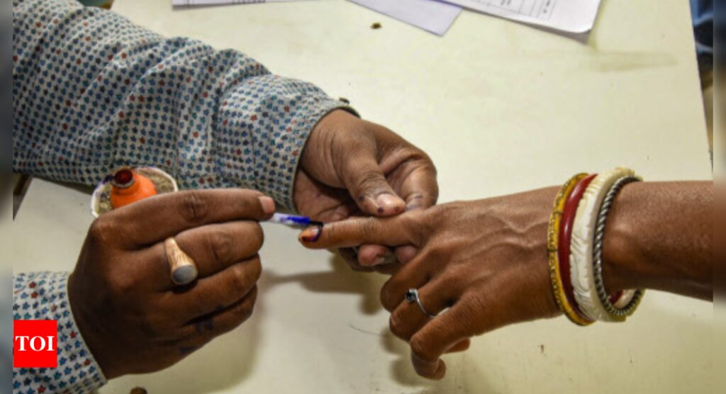 Lok Sabha elections: Baramulla records over 7.60 per cent polling in first two hours | India News