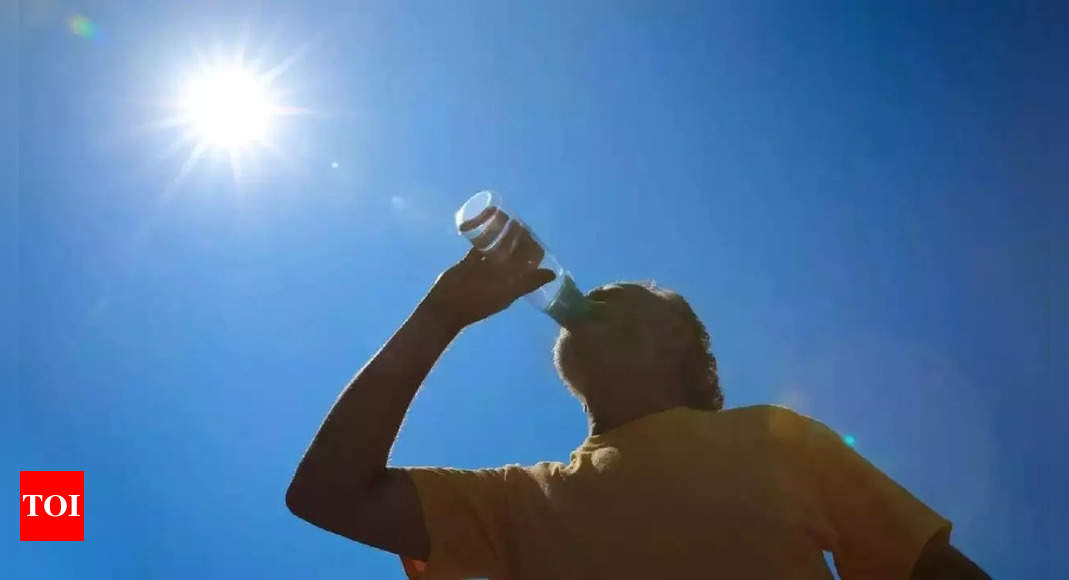 1 4 3 heatstroke deaths this year: Health ministry; TOI data puts no. at 209 | India News - Times of India