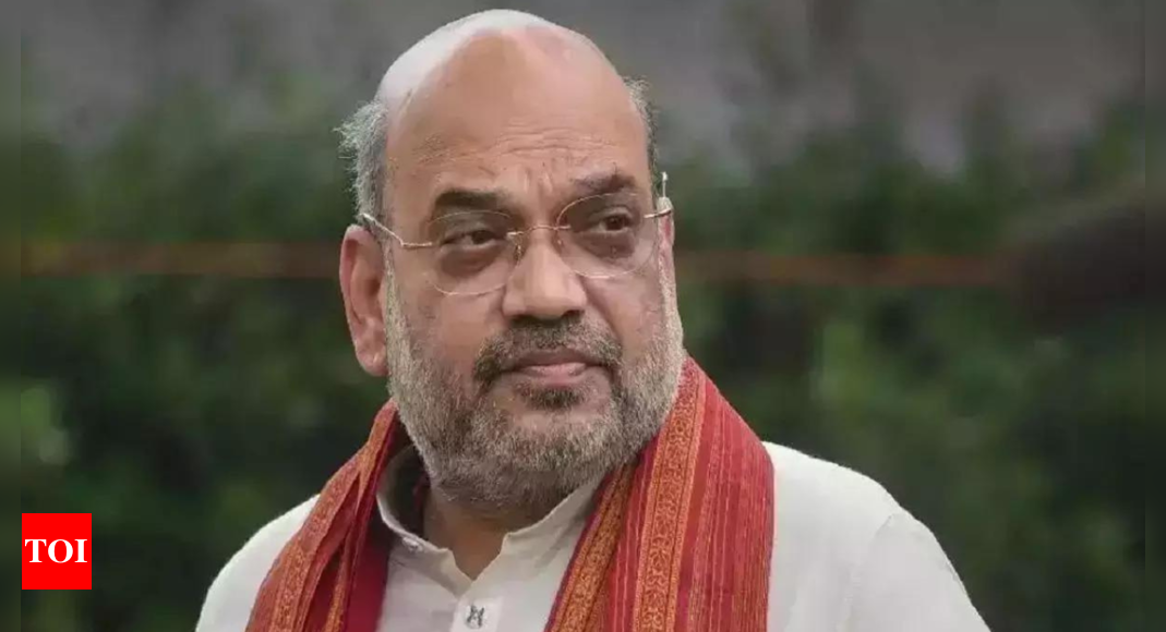 Committed to cracking down on terrorists through innovative means: Amit Shah tells J&K security high-level meeting | India News - Times of India