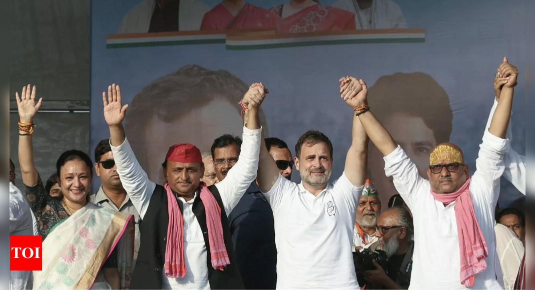 Lok Sabha election results 2024: Akhilesh Yadav hails 'intelligent voters' of UP for victory of INDIA bloc, PDA | India News - Times of India