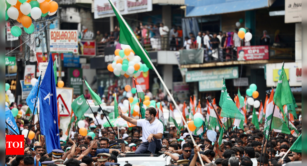 My dilemma is whether I should be MP of Wayanad or Rae Bareli: Rahul Gandhi | India News – Times of India