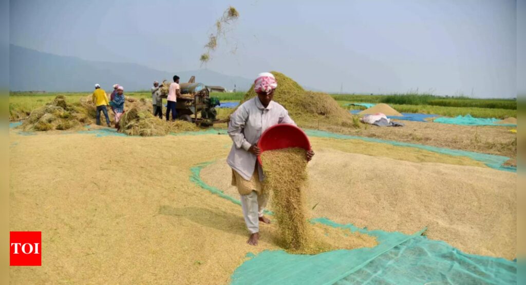 Panel: States’ bonuses on top of paddy MSP distorting markets – Times of India