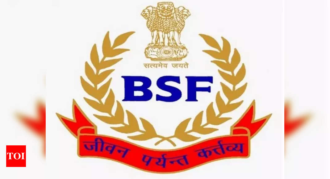 Arms smuggling bid from across the border foiled as BSF gun downed a drone in Fazilka | India News – Times of India