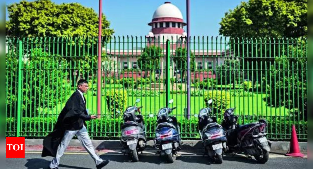 Courts shouldn’t stay bail order in casual manner: Supreme Court | India News – Times of India